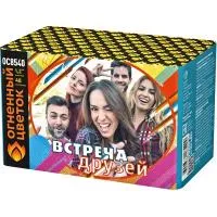 Салют Встреча друзей New ОС8541 купить от производителя Огненный Цветок — Звенигово