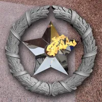 Венок вечный огонь чугун звезда нержавеющая сталь в Звенигово (518577)