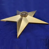 Звезда вечный огонь (1628) поставка комплект горелка ГВД 379 10 89 00 ПС ø 1100 мм. пустотелая в Звенигово
